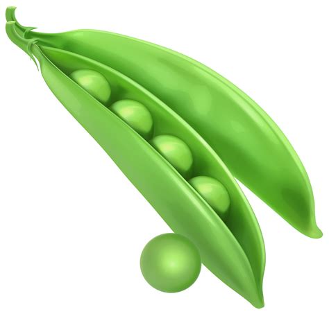 clip art peas